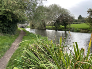 Trent & Mersey Canal