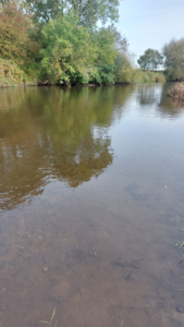 River Derwent