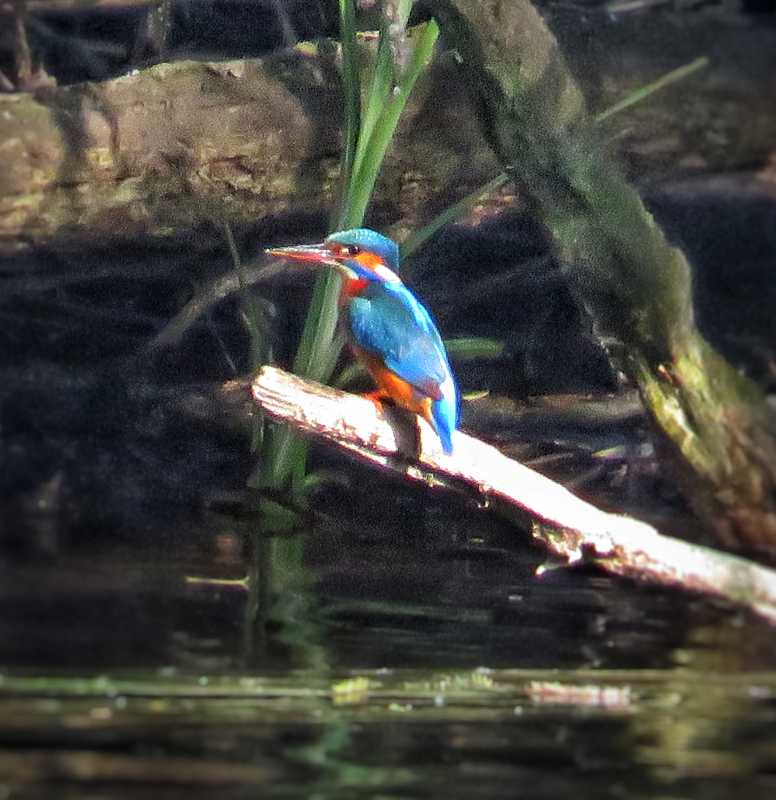hb1ef942.JPG