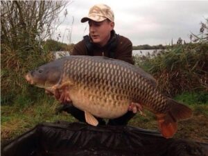 Common Carp