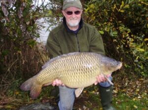 Common Carp