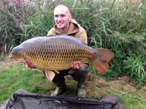 Common Carp