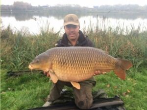 Common Carp