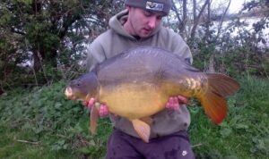 Mirror Carp