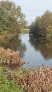 River Derwent
