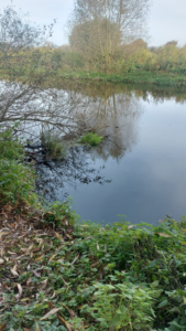 River Derwent
