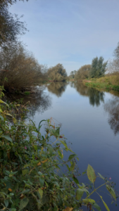 River Derwent