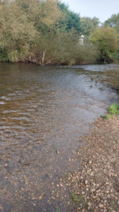 River Derwent