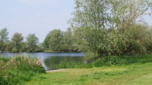 Olvers Lake 1