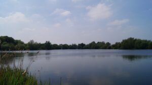 Olvers Lake 2