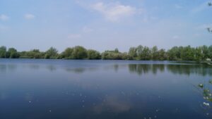 Olvers Lake 3