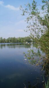 Olvers Lake 4