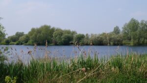 Olvers Lake 5
