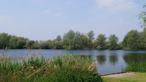 Olvers Lake 6