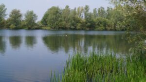 Olvers Lake 7