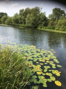 Ully Gully Backwater