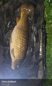 Fish of the Month 2024 – June’s Runner Up Chris Guilbert