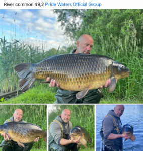 Common Carp 49lb 2oz