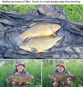 Tench 8lb 2oz & 8lb 10oz
